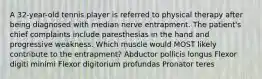 A 32-year-old tennis player is referred to physical therapy after being diagnosed with median nerve entrapment. The patient's chief complaints include paresthesias in the hand and progressive weakness. Which muscle would MOST likely contribute to the entrapment? Abductor pollicis longus Flexor digiti minimi Flexor digitorium profundas Pronator teres