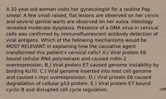 A 32-year-old woman visits her gynecologist for a routine Pap smear. A few small raised, flat lesions are observed on her cervix and several genital warts are observed on her vulva. Histology revealed moderate dysplasia. Presence of a DNA virus in cervical cells was confirmed by immunofluorescent antibody detection of viral antigens. Which of the following mechanisms would be MOST RELEVANT in explaining how the causative agent transformed this patient's cervical cells? A.) Viral protein E6 bound cellular RNA polymerase and caused mdm-2 overexpression. B.) Viral protein E7 caused genome instability by binding Ku70. C.) Viral genome inserted into host cell genome and caused c-myc overexpression. D.) Viral protein E6 caused degradation of cellular p53 protein. E.) Viral protein E7 bound cyclin B and disrupted <a href='https://www.questionai.com/knowledge/keQNMM7c75-cell-cycle' class='anchor-knowledge'>cell cycle</a> regulation.