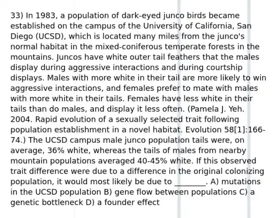 33) In 1983, a population of dark-eyed junco birds became established on the campus of the University of California, San Diego (UCSD), which is located many miles from the junco's normal habitat in the mixed-coniferous temperate forests in the mountains. Juncos have white outer tail feathers that the males display during aggressive interactions and during courtship displays. Males with more white in their tail are more likely to win aggressive interactions, and females prefer to mate with males with more white in their tails. Females have less white in their tails than do males, and display it less often. (Pamela J. Yeh. 2004. Rapid evolution of a sexually selected trait following population establishment in a novel habitat. Evolution 58[1]:166-74.) The UCSD campus male junco population tails were, on average, 36% white, whereas the tails of males from nearby mountain populations averaged 40-45% white. If this observed trait difference were due to a difference in the original colonizing population, it would most likely be due to ________. A) mutations in the UCSD population B) gene flow between populations C) a genetic bottleneck D) a founder effect