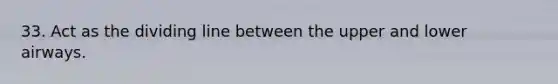 33. Act as the dividing line between the upper and lower airways.