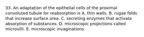 33. An adaptation of the epithelial cells of the proximal convoluted tubule for reabsorption is A. thin walls. B. rugae folds that increase surface area. C. secreting enzymes that activate absorption of substances. D. microscopic projections called microvilli. E. microscopic invaginations.