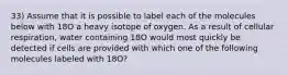 33) Assume that it is possible to label each of the molecules below with 18O a heavy isotope of oxygen. As a result of cellular respiration, water containing 18O would most quickly be detected if cells are provided with which one of the following molecules labeled with 18O?