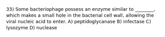 33) Some bacteriophage possess an enzyme similar to ________, which makes a small hole in the bacterial cell wall, allowing the viral nucleic acid to enter. A) peptidoglycanase B) infectase C) lysozyme D) nuclease