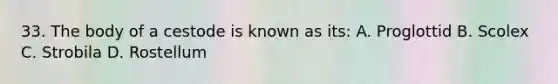 33. The body of a cestode is known as its: A. Proglottid B. Scolex C. Strobila D. Rostellum