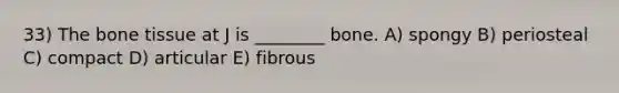 33) The bone tissue at J is ________ bone. A) spongy B) periosteal C) compact D) articular E) fibrous