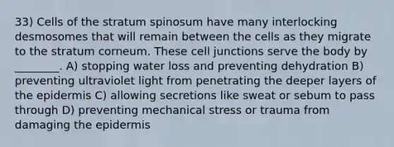 33) Cells of the stratum spinosum have many interlocking desmosomes that will remain between the cells as they migrate to the stratum corneum. These cell junctions serve the body by ________. A) stopping water loss and preventing dehydration B) preventing ultraviolet light from penetrating the deeper layers of the epidermis C) allowing secretions like sweat or sebum to pass through D) preventing mechanical stress or trauma from damaging the epidermis