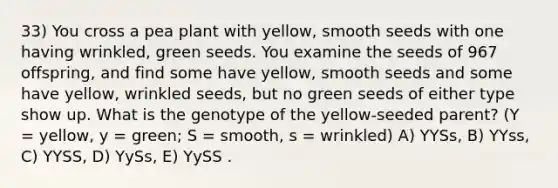 33) You cross a pea plant with yellow, smooth seeds with one having wrinkled, green seeds. You examine the seeds of 967 offspring, and find some have yellow, smooth seeds and some have yellow, wrinkled seeds, but no green seeds of either type show up. What is the genotype of the yellow-seeded parent? (Y = yellow, y = green; S = smooth, s = wrinkled) A) YYSs, B) YYss, C) YYSS, D) YySs, E) YySS .