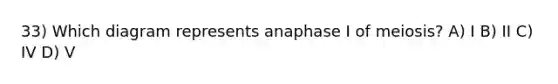 33) Which diagram represents anaphase I of meiosis? A) I B) II C) IV D) V