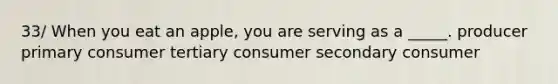 33/ When you eat an apple, you are serving as a _____. producer primary consumer tertiary consumer secondary consumer