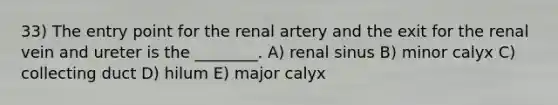 33) The entry point for the renal artery and the exit for the renal vein and ureter is the ________. A) renal sinus B) minor calyx C) collecting duct D) hilum E) major calyx