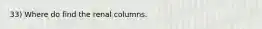 33) Where do find the renal columns.