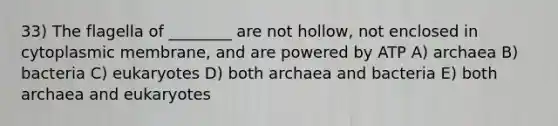 33) The flagella of ________ are not hollow, not enclosed in cytoplasmic membrane, and are powered by ATP A) archaea B) bacteria C) eukaryotes D) both archaea and bacteria E) both archaea and eukaryotes