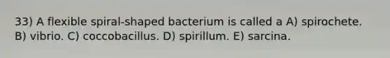 33) A flexible spiral-shaped bacterium is called a A) spirochete. B) vibrio. C) coccobacillus. D) spirillum. E) sarcina.