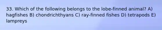 33. Which of the following belongs to the lobe-finned animal? A) hagfishes B) chondrichthyans C) ray-finned fishes D) tetrapods E) lampreys