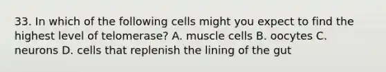 33. In which of the following cells might you expect to find the highest level of telomerase? A. muscle cells B. oocytes C. neurons D. cells that replenish the lining of the gut