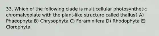 33. Which of the following clade is multicellular photosynthetic chromalveolate with the plant-like structure called thallus? A) Phaeophyta B) Chrysophyta C) Foraminifera D) Rhodophyta E) Clorophyta