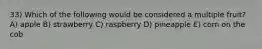 33) Which of the following would be considered a multiple fruit? A) apple B) strawberry C) raspberry D) pineapple E) corn on the cob