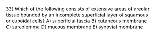 33) Which of the following consists of extensive areas of areolar tissue bounded by an incomplete superficial layer of squamous or cuboidal cells? A) superficial fascia B) cutaneous membrane C) sarcolemma D) mucous membrane E) synovial membrane