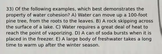 33) Of the following examples, which best demonstrates the property of water cohesion? A) Water can move up a 100-foot pine tree, from the roots to the leaves. B) A rock skipping across the surface of a lake. C) Water requires a great deal of heat to reach the point of vaporizing. D) A can of soda bursts when it is placed in the freezer. E) A large body of freshwater takes a long time to warm up after the winter season.