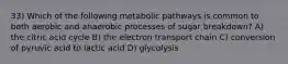 33) Which of the following metabolic pathways is common to both aerobic and anaerobic processes of sugar breakdown? A) the citric acid cycle B) the electron transport chain C) conversion of pyruvic acid to lactic acid D) glycolysis