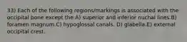 33) Each of the following regions/markings is associated with the occipital bone except the A) superior and inferior nuchal lines.B) foramen magnum.C) hypoglossal canals. D) glabella.E) external occipital crest.