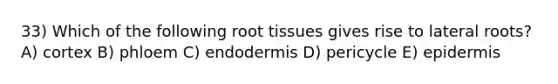 33) Which of the following root tissues gives rise to lateral roots? A) cortex B) phloem C) endodermis D) pericycle E) epidermis