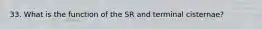 33. What is the function of the SR and terminal cisternae?