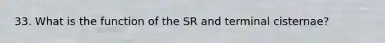 33. What is the function of the SR and terminal cisternae?