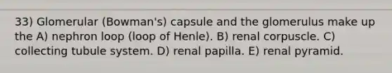 33) Glomerular (Bowman's) capsule and the glomerulus make up the A) nephron loop (loop of Henle). B) renal corpuscle. C) collecting tubule system. D) renal papilla. E) renal pyramid.