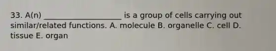 33. A(n) ____________________ is a group of cells carrying out similar/related functions. A. molecule B. organelle C. cell D. tissue E. organ