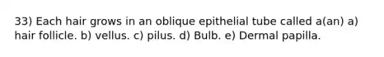 33) Each hair grows in an oblique epithelial tube called a(an) a) hair follicle. b) vellus. c) pilus. d) Bulb. e) Dermal papilla.