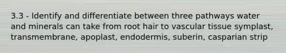 3.3 - Identify and differentiate between three pathways water and minerals can take from root hair to vascular tissue symplast, transmembrane, apoplast, endodermis, suberin, casparian strip