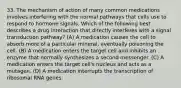 33. The mechanism of action of many common medications involves interfering with the normal pathways that cells use to respond to hormone signals. Which of the following best describes a drug interaction that directly interferes with a signal transduction pathway? (A) A medication causes the cell to absorb more of a particular mineral, eventually poisoning the cell. (B) A medication enters the target cell and inhibits an enzyme that normally synthesizes a second messenger. (C) A medication enters the target cell's nucleus and acts as a mutagen. (D) A medication interrupts the transcription of ribosomal RNA genes.