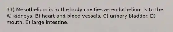 33) Mesothelium is to the body cavities as endothelium is to the A) kidneys. B) heart and <a href='https://www.questionai.com/knowledge/kZJ3mNKN7P-blood-vessels' class='anchor-knowledge'>blood vessels</a>. C) urinary bladder. D) mouth. E) large intestine.