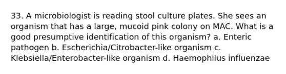 33. A microbiologist is reading stool culture plates. She sees an organism that has a large, mucoid pink colony on MAC. What is a good presumptive identification of this organism? a. Enteric pathogen b. Escherichia/Citrobacter-like organism c. Klebsiella/Enterobacter-like organism d. Haemophilus influenzae