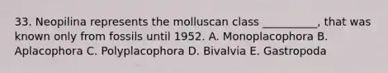 33. Neopilina represents the molluscan class __________, that was known only from fossils until 1952. A. Monoplacophora B. Aplacophora C. Polyplacophora D. Bivalvia E. Gastropoda