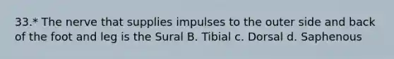 33.* The nerve that supplies impulses to the outer side and back of the foot and leg is the Sural B. Tibial c. Dorsal d. Saphenous