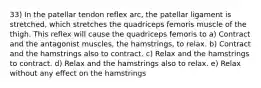 33) In the patellar tendon reflex arc, the patellar ligament is stretched, which stretches the quadriceps femoris muscle of the thigh. This reflex will cause the quadriceps femoris to a) Contract and the antagonist muscles, the hamstrings, to relax. b) Contract and the hamstrings also to contract. c) Relax and the hamstrings to contract. d) Relax and the hamstrings also to relax. e) Relax without any effect on the hamstrings