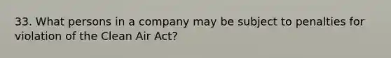 33. What persons in a company may be subject to penalties for violation of the Clean Air Act?