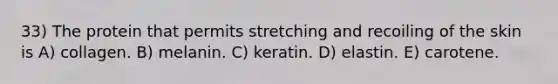 33) The protein that permits stretching and recoiling of the skin is A) collagen. B) melanin. C) keratin. D) elastin. E) carotene.