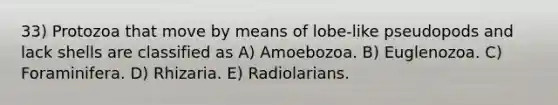 33) Protozoa that move by means of lobe-like pseudopods and lack shells are classified as A) Amoebozoa. B) Euglenozoa. C) Foraminifera. D) Rhizaria. E) Radiolarians.