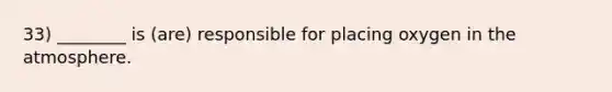 33) ________ is (are) responsible for placing oxygen in the atmosphere.