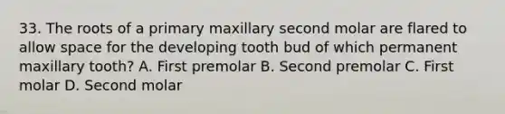 33. The roots of a primary maxillary second molar are flared to allow space for the developing tooth bud of which permanent maxillary tooth? A. First premolar B. Second premolar C. First molar D. Second molar