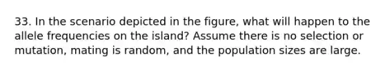 33. In the scenario depicted in the figure, what will happen to the allele frequencies on the island? Assume there is no selection or mutation, mating is random, and the population sizes are large.