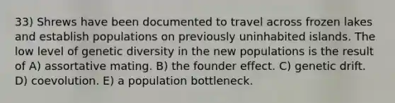 33) Shrews have been documented to travel across frozen lakes and establish populations on previously uninhabited islands. The low level of genetic diversity in the new populations is the result of A) assortative mating. B) the founder effect. C) genetic drift. D) coevolution. E) a population bottleneck.