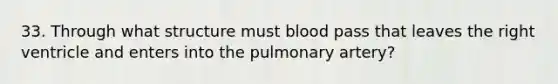 33. Through what structure must blood pass that leaves the right ventricle and enters into the pulmonary artery?