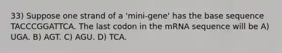 33) Suppose one strand of a 'mini-gene' has the base sequence TACCCGGATTCA. The last codon in the mRNA sequence will be A) UGA. B) AGT. C) AGU. D) TCA.