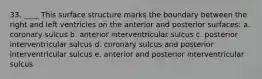 33. ____ This surface structure marks the boundary between the right and left ventricles on the anterior and posterior surfaces: a. coronary sulcus b. anterior interventricular sulcus c. posterior interventricular sulcus d. coronary sulcus and posterior interventricular sulcus e. anterior and posterior interventricular sulcus