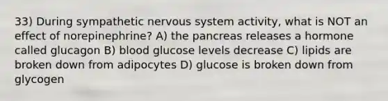 33) During sympathetic nervous system activity, what is NOT an effect of norepinephrine? A) the pancreas releases a hormone called glucagon B) blood glucose levels decrease C) lipids are broken down from adipocytes D) glucose is broken down from glycogen