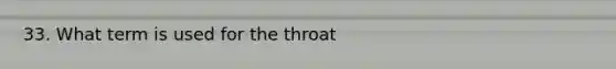 33. What term is used for the throat